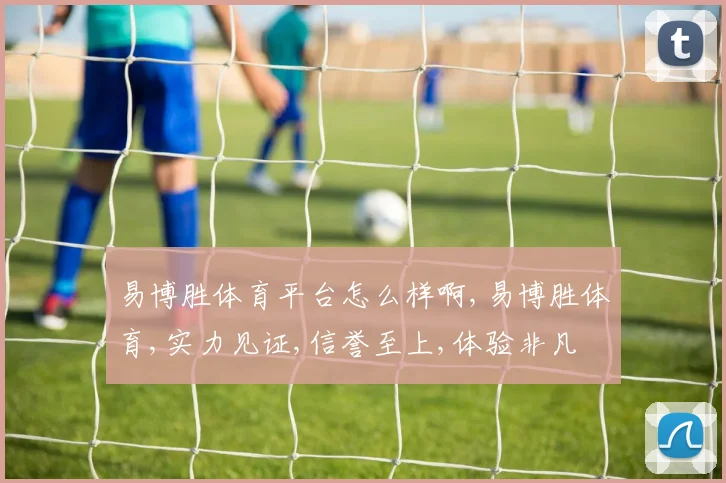 易博胜体育平台怎么样啊,易博胜体育,实力见证,信誉至上,体验非凡